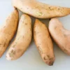 Sweet Potato Slips 15 Mixed Well Rooted Live Plant Vine Cutting Ready to Plant